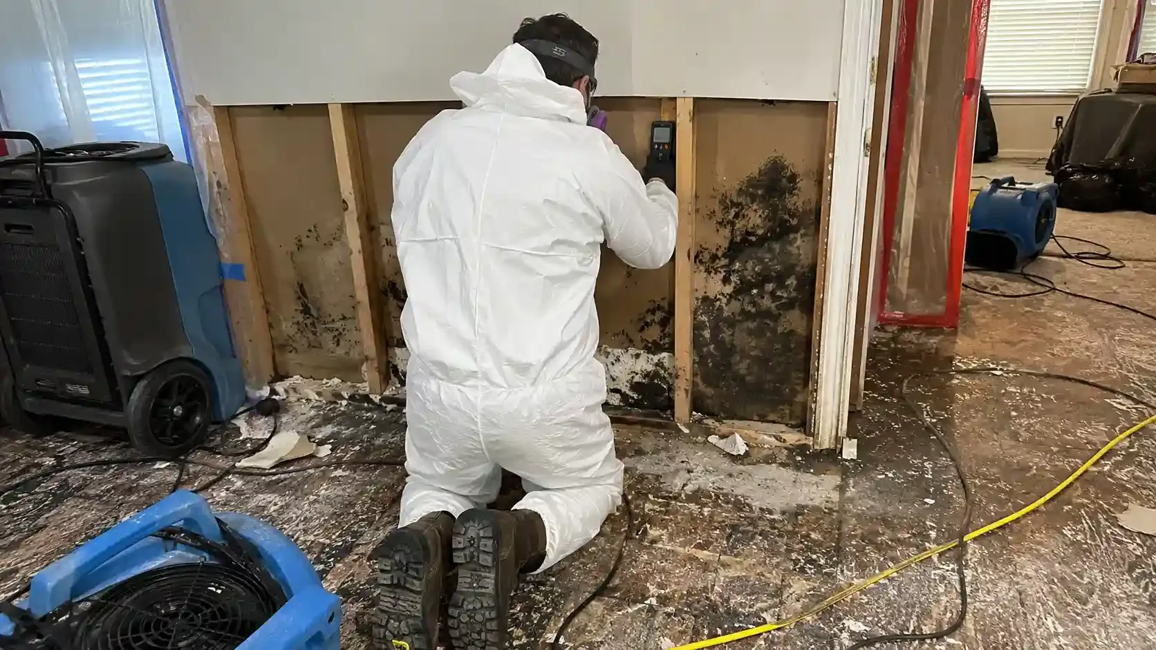 Image water damage restoration 8 waterdamageflow